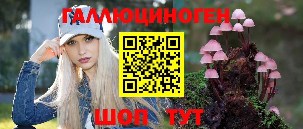 Псилоцибиновые грибы MAGIC MUSHROOMS  Вход с VPN  Михайловка 